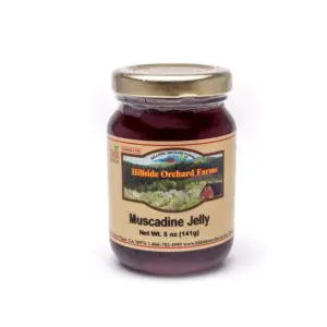 Muscadine Jelly - 5 oz