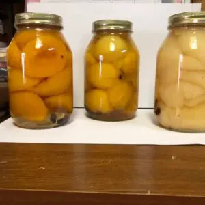 Pickled Peaches & More