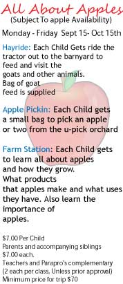 apples apples
