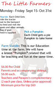 little-farmer little-farmer