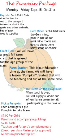 pumpkin pumpkin