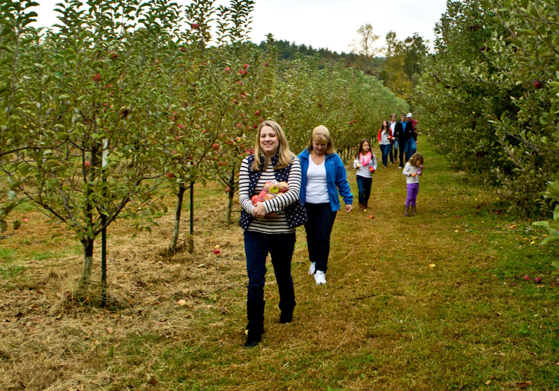 Hillside guest Pickers 1